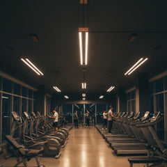 Vega siyah lineer sarkıt aydınlatma geniş salonlarda profesyonel ışık sunar.