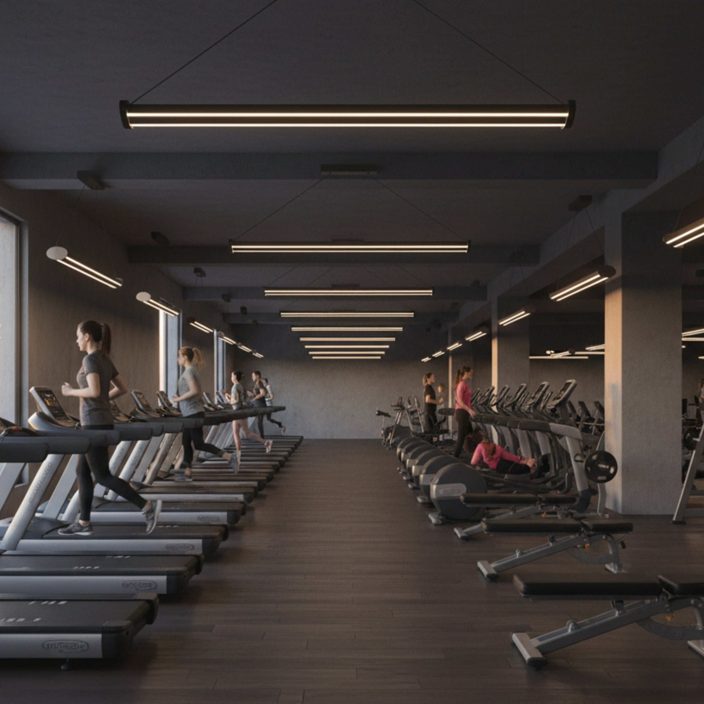 Modern spor salonu aydınlatması için Mira lineer LED sarkıt avize modelleri