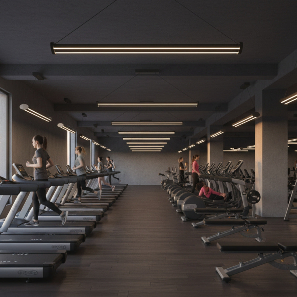 Modern spor salonu aydınlatması için Mira lineer LED sarkıt avize modelleri