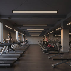 Modern spor salonu aydınlatması için Mira lineer LED sarkıt avize modelleri
